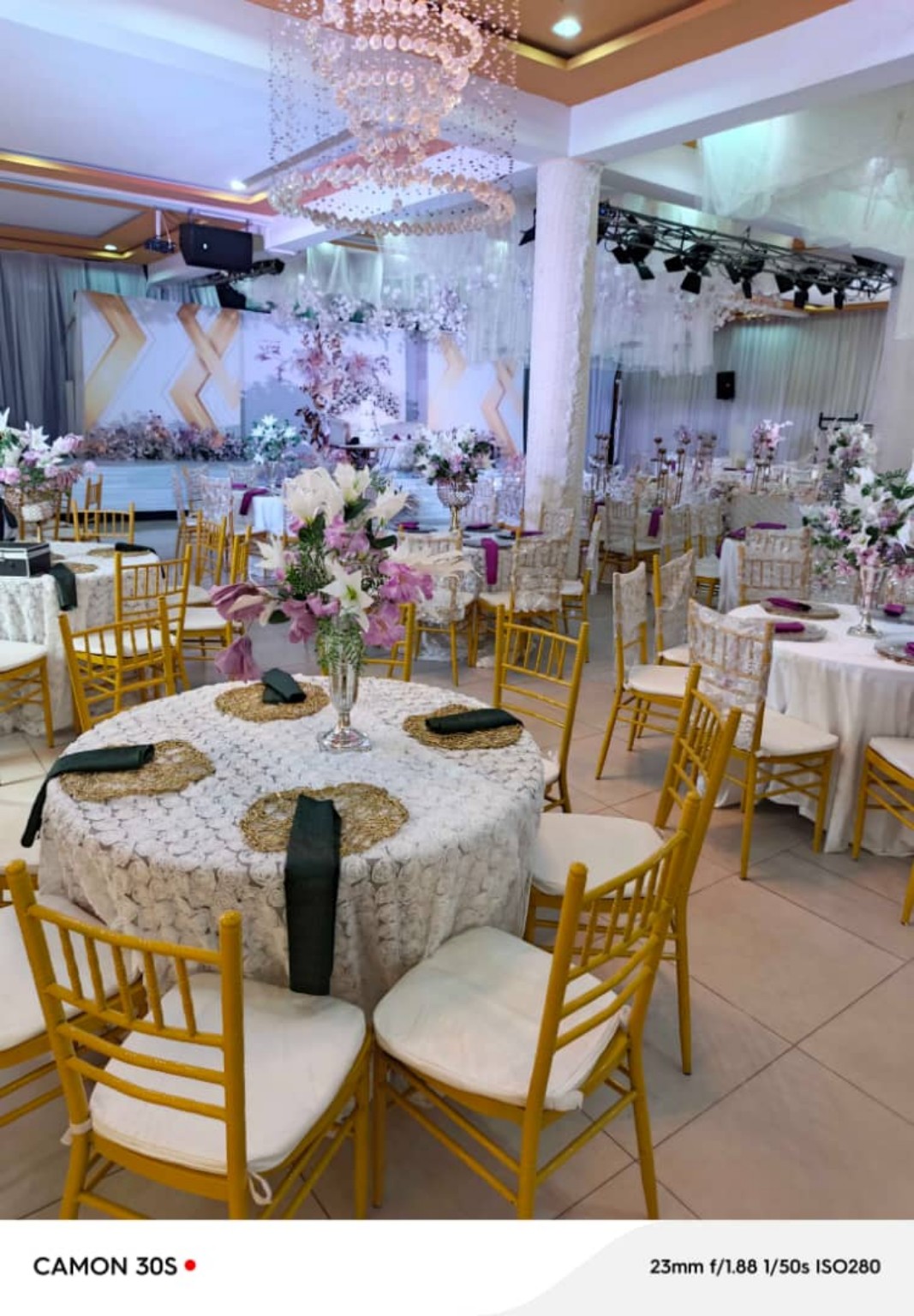 White & gold reception